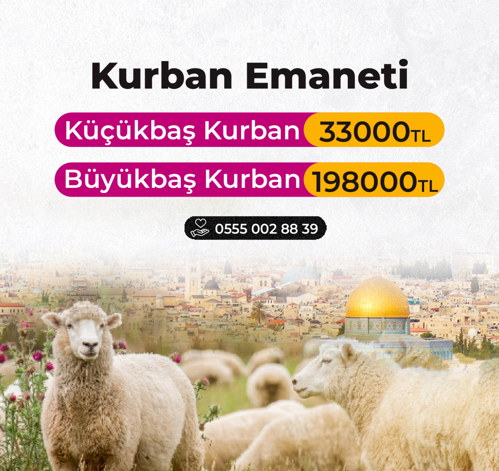 Kurban Emanetiniz Kudüs’e Umut Olsun - Küçükbaş